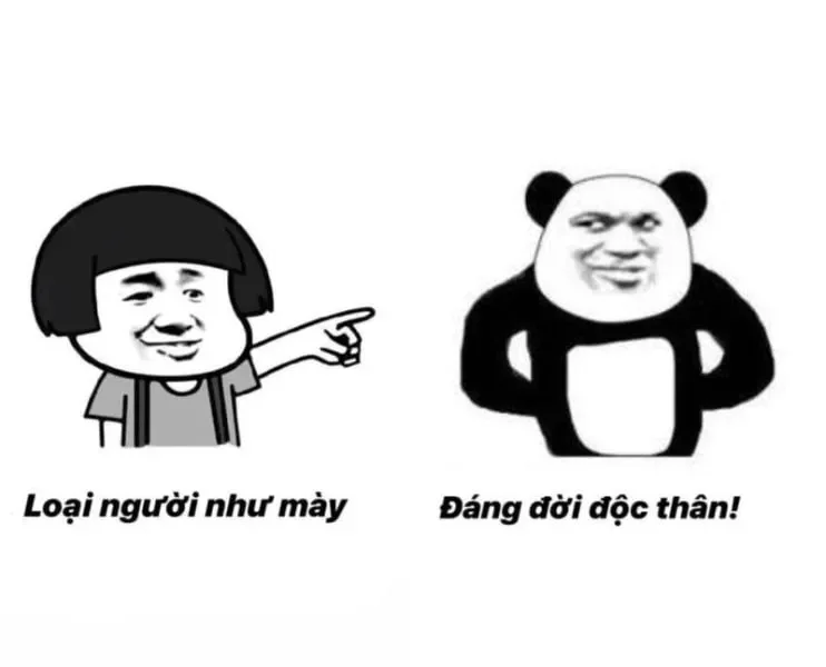 Giới thiệu meme gấu trúc và sức hút của chúng trong cộng đồng mạng