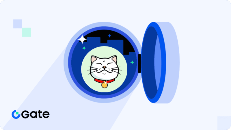 Liệt kê 5 kênh/website hàng đầu để tìm kiếm meme mèo mới nhất