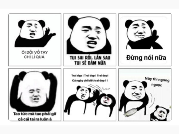 Phân loại 5+ loại meme gấu trúc phổ biến nhất và cách chúng được sử dụng