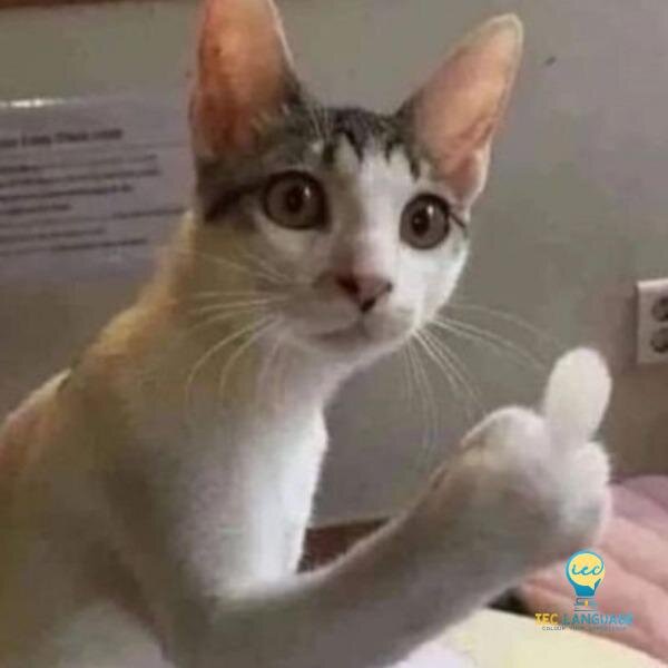 Phân Tích 5 Yếu Tố Tạo Nên Sự Thành Công Của Một Meme Mèo "Bựa"