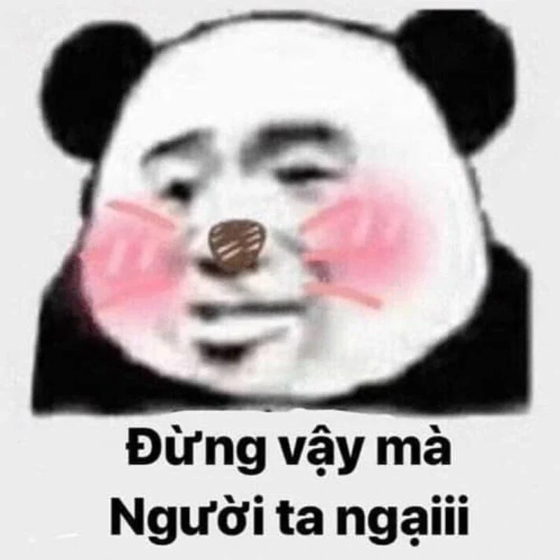 So sánh meme gấu trúc với các loại meme động vật khác (mèo, chó,...)