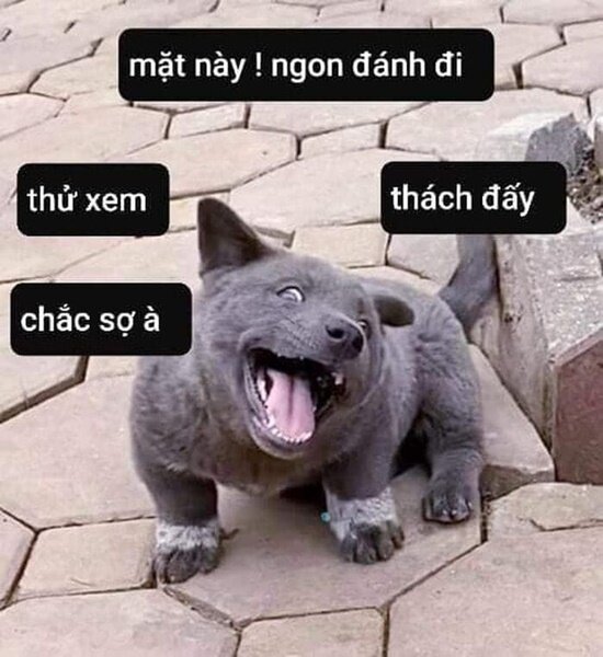 So sánh sự khác biệt giữa meme cute và các loại meme khác (ví dụ: meme dark humor, meme political)