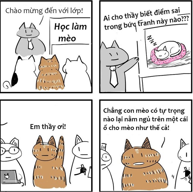 So sánh sự khác biệt giữa meme mèo và các loại meme động vật khác (chó, chuột,...)