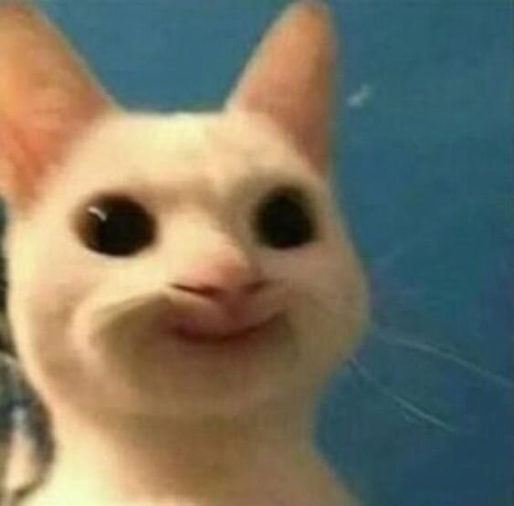 Top 99+ Meme Mèo Bựa Hài Hước Nhất 2024 | Xả Stress Cực Mạnh