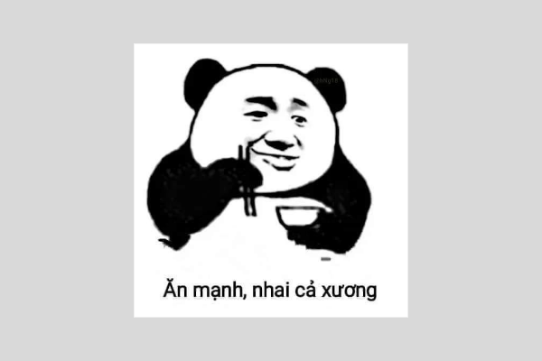 Tuyển chọn 99+ meme gấu trúc hài hước nhất năm 2024 (có phân loại)